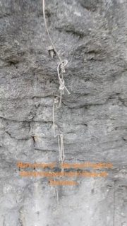 Heute hab ich kurz vor Ankunft des Sturms im neuen Projekt weitergearbeitet. Die Hälfte der Anker sitzt.....

#dachsteinwest #glorify #gosausee #visitsalzkammergut #skyladder #lasereralpin #visitgosau #visitsalzburg #visitskyladder #ᴠɪʀᴀʟᴠɪᴅᴇᴏs #virelreels #viaferrata#bergsteigen.com