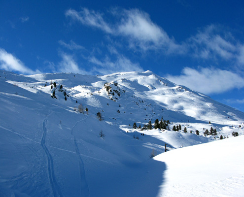 Skitouren Münstertal